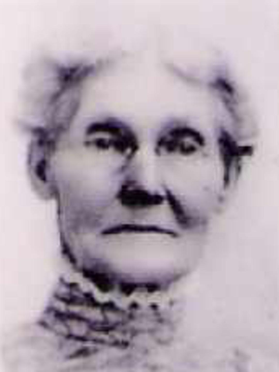 Matilda Hawk (1841 - 1928) Profile